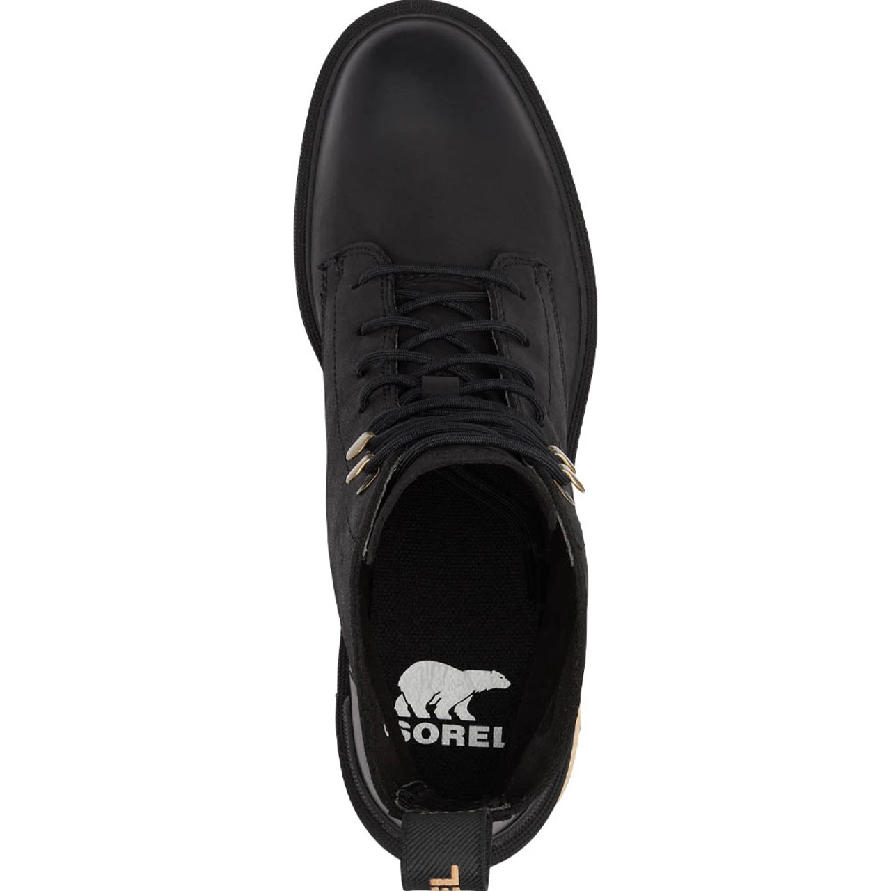 Sorel Women's Hi-Line Heel Lace - Black / Tawny Buff 5 Sorel Women's Hi-Line Heel Lace - Black / Tawny Buff - Image 5