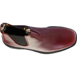 Blundstone Women's Classic 550 Chelsea Boot - Redwood -Winter Shoes Store A 33091.1598909172